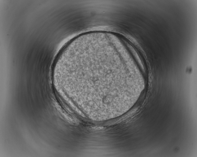 X0000115021230200911231243