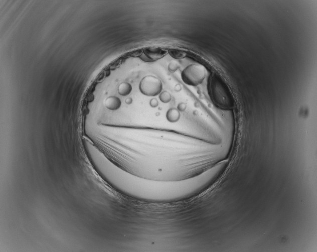 X0000115021232200911231243