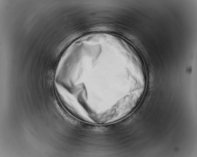 X0000115021233200911231243