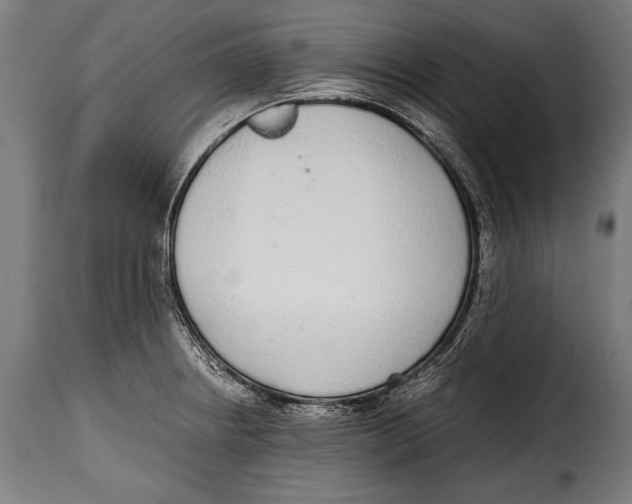 X0000115021234200911231243