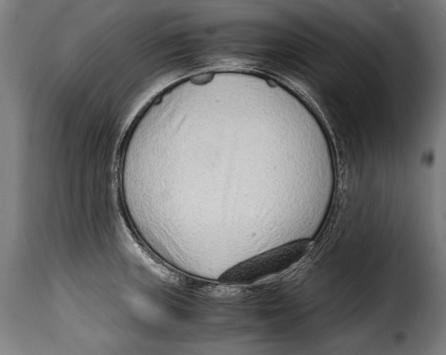 X0000115021235200911231243