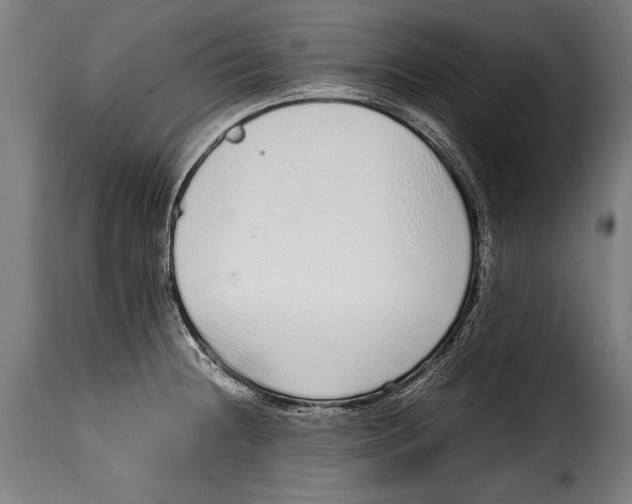 X0000115021236200911231243