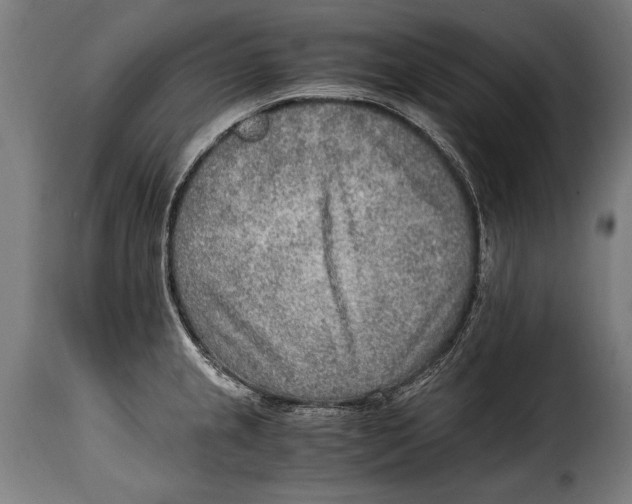 X0000115021237200911231243