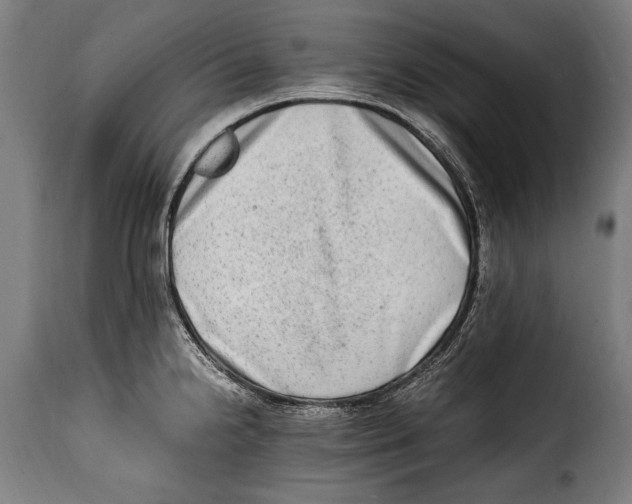 X0000115021238200911231243