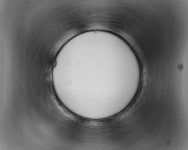 X0000115021241200911231243