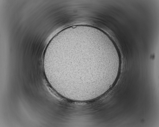 X0000115021242200911231243