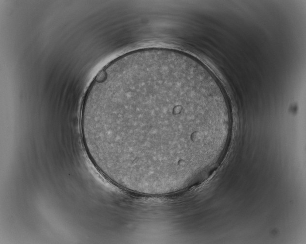 X0000115021246200911231243