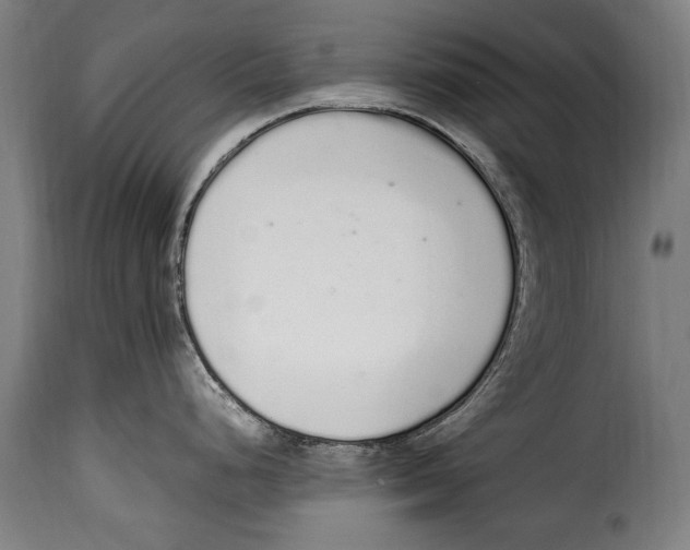 X0000115021248200911231243