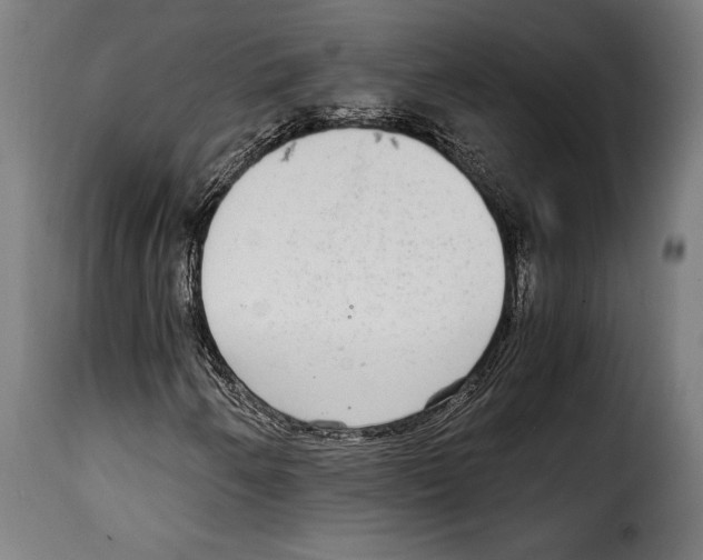 X0000115021250200911231242