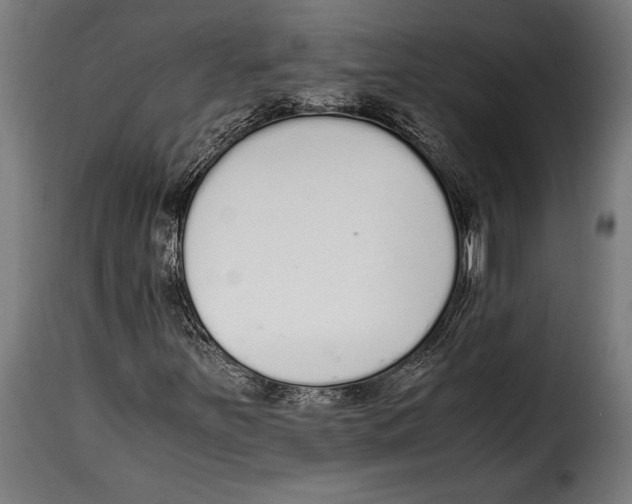 X0000115021251200911231242