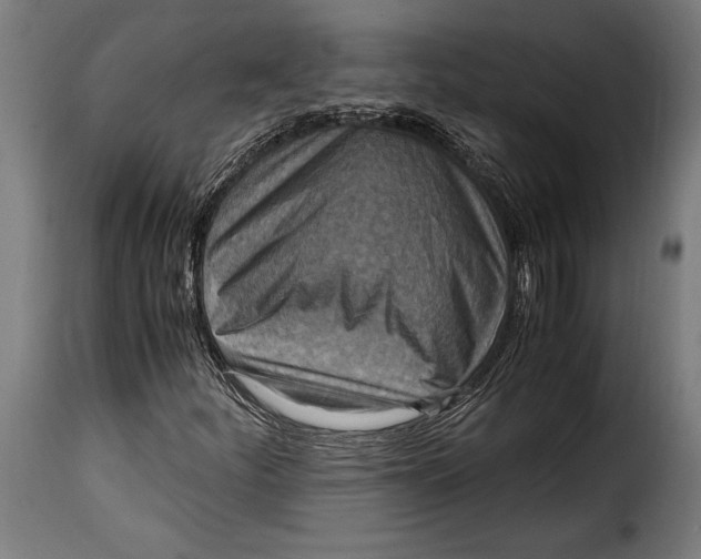 X0000115021252200911231242