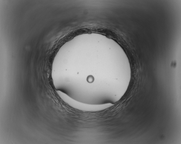 X0000115021253200911231242