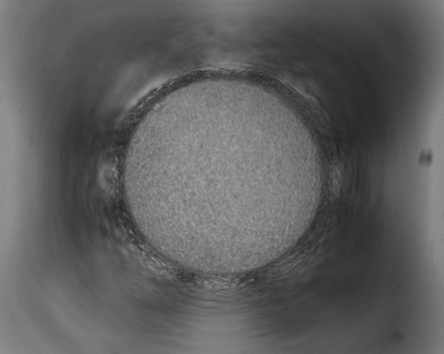 X0000115021254200911231242