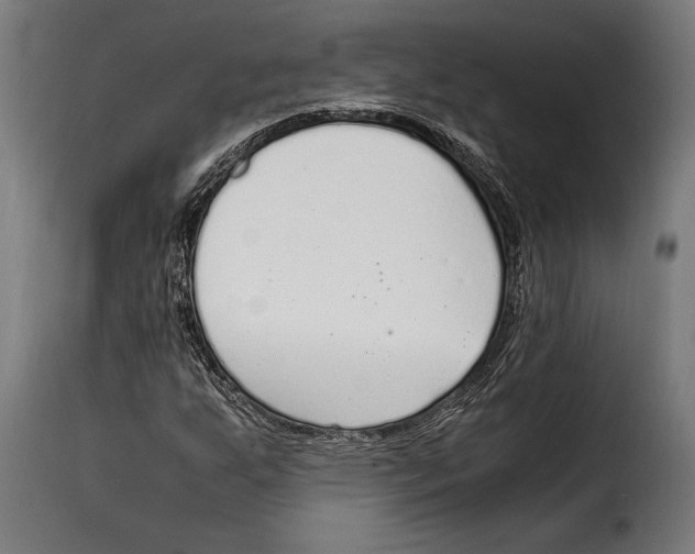 X0000115021255200911231242