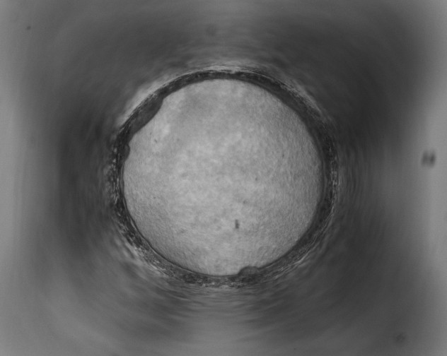 X0000115021256200911231242