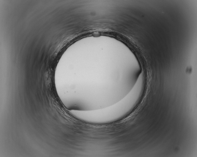 X0000115021257200911231242