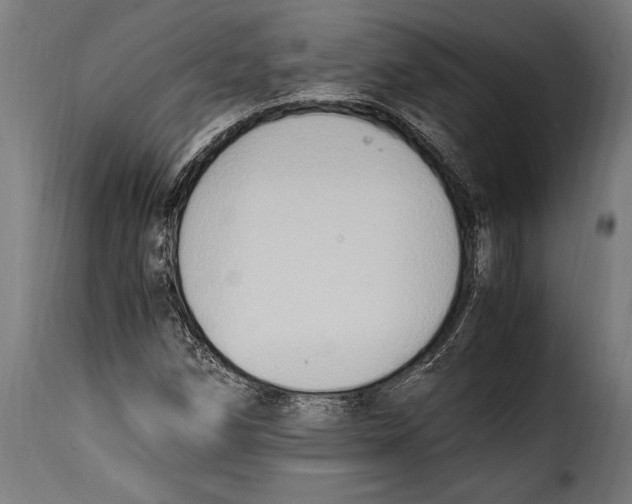 X0000115021258200911231242