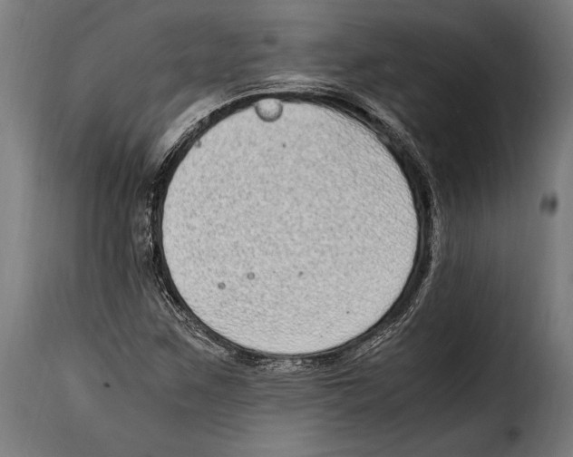 X0000115021259200911231242