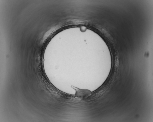 X0000115021261200911231242