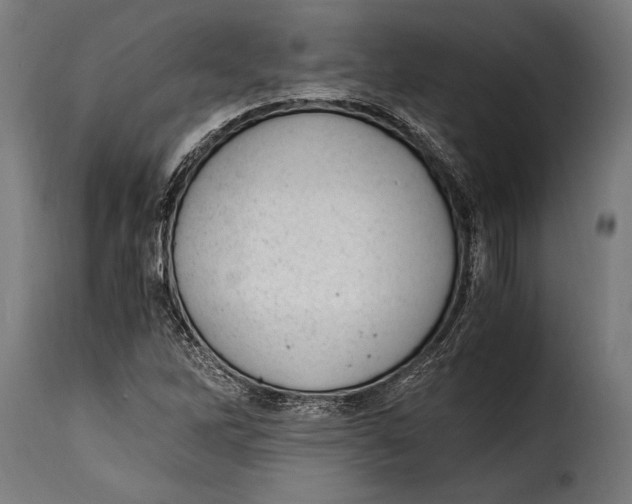 X0000115021262200911231242