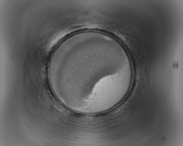 X0000115021263200911231242