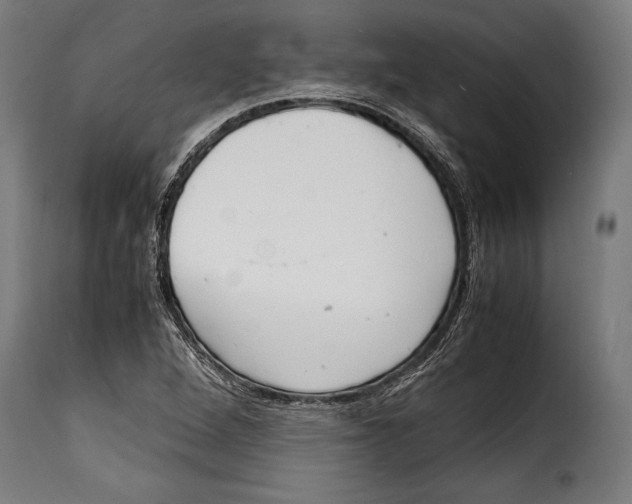 X0000115021264200911231242