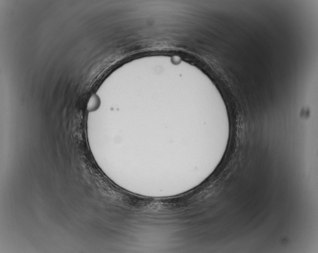 X0000115021265200911231242