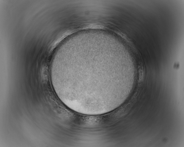 X0000115021266200911231242