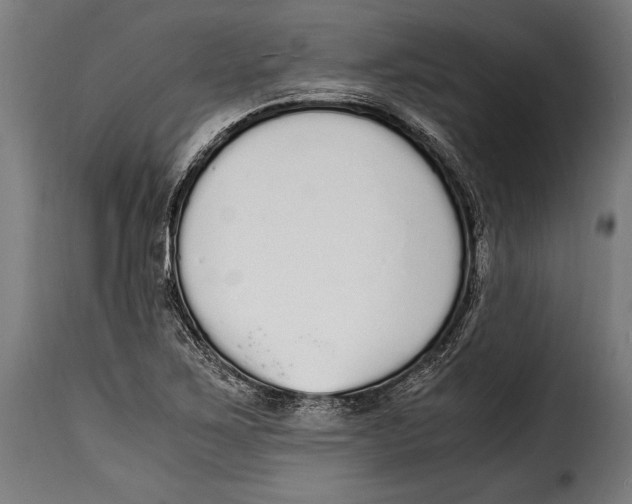 X0000115021267200911231242