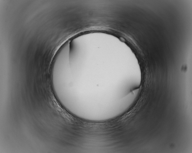 X0000115021268200911231242