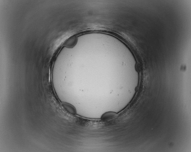 X0000115021269200911231242