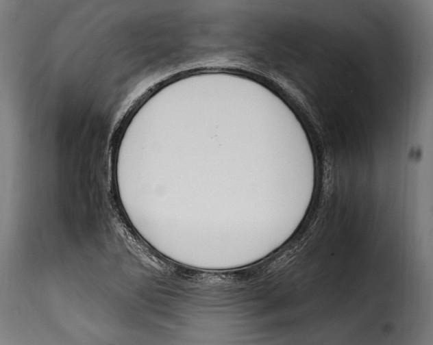 X0000115021270200911231242