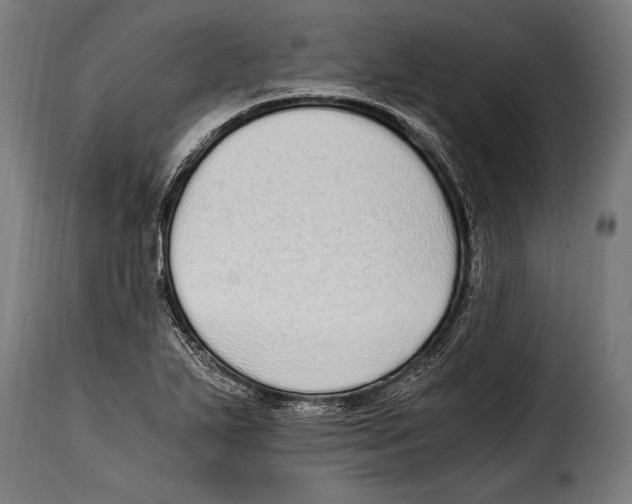 X0000115021271200911231242