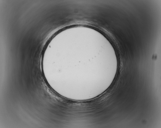 X0000115021272200911231242