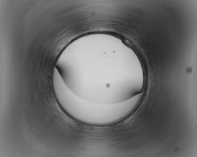 X0000115021273200911231242