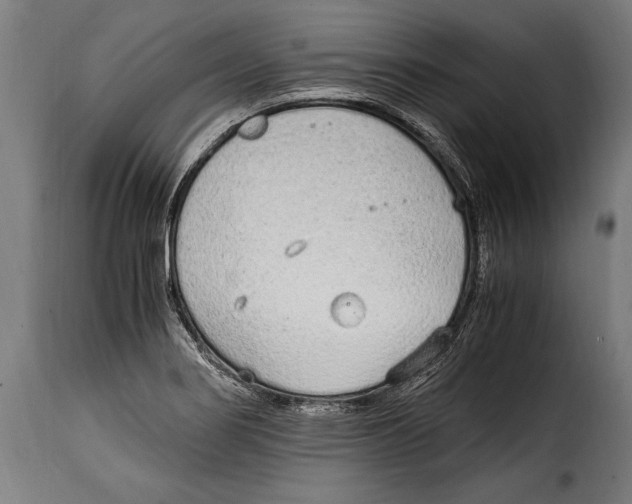 X0000115021274200911231242