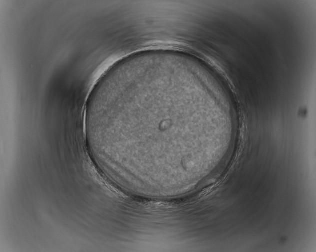 X0000115021275200911231242