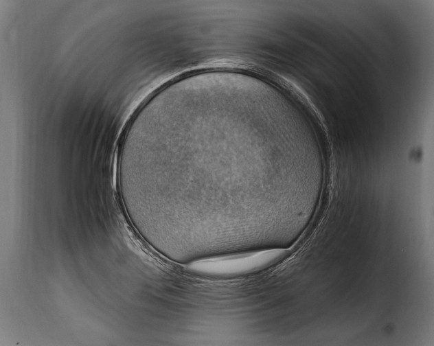 X0000115021276200911231242