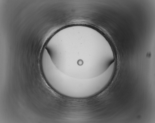 X0000115021277200911231242