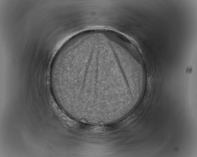 X0000115021279200911231242