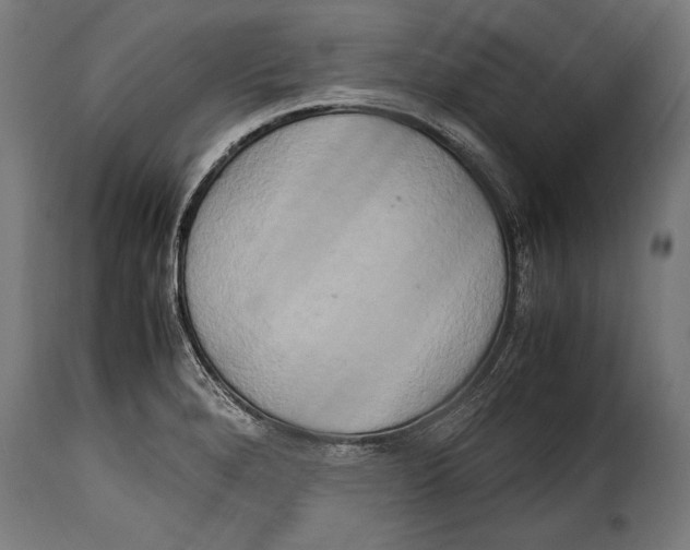 X0000115021280200911231242