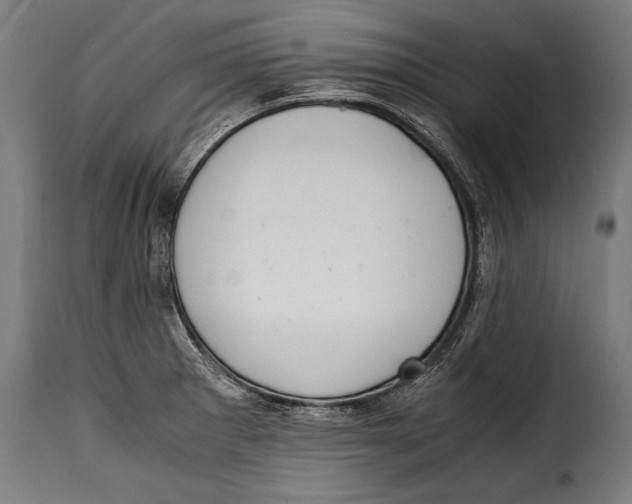 X0000115021281200911231242