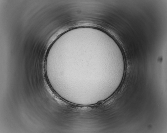 X0000115021282200911231242