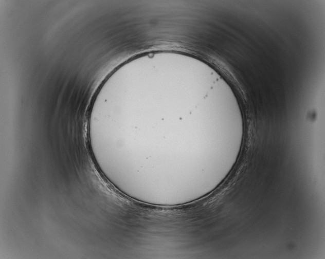 X0000115021284200911231242