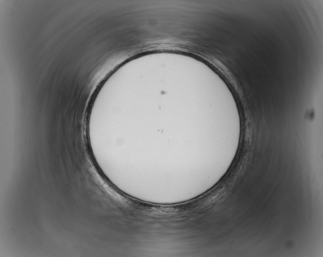 X0000115021285200911231242