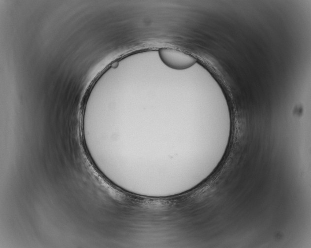 X0000115021286200911231242