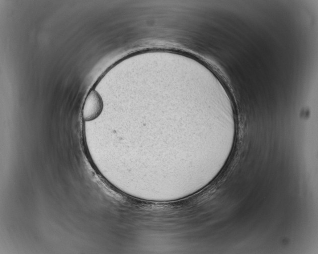 X0000115021287200911231242