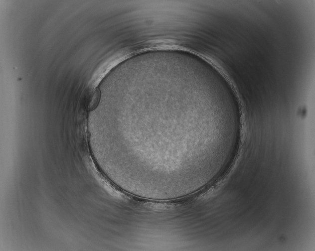 X0000115021289200911231242