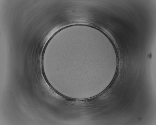 X0000115021291200911231242