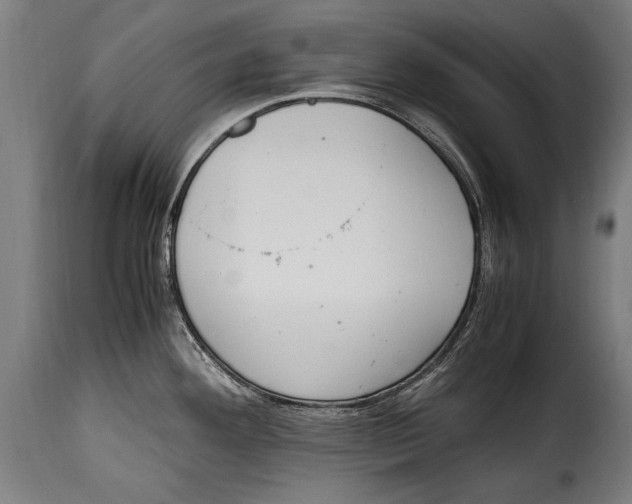 X0000115021292200911231242